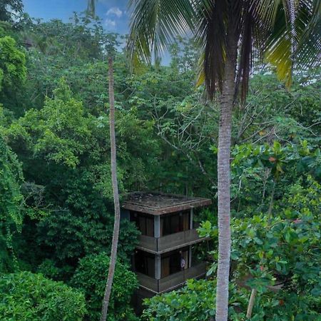 Taino Beach Lofts El Valle Eksteriør billede