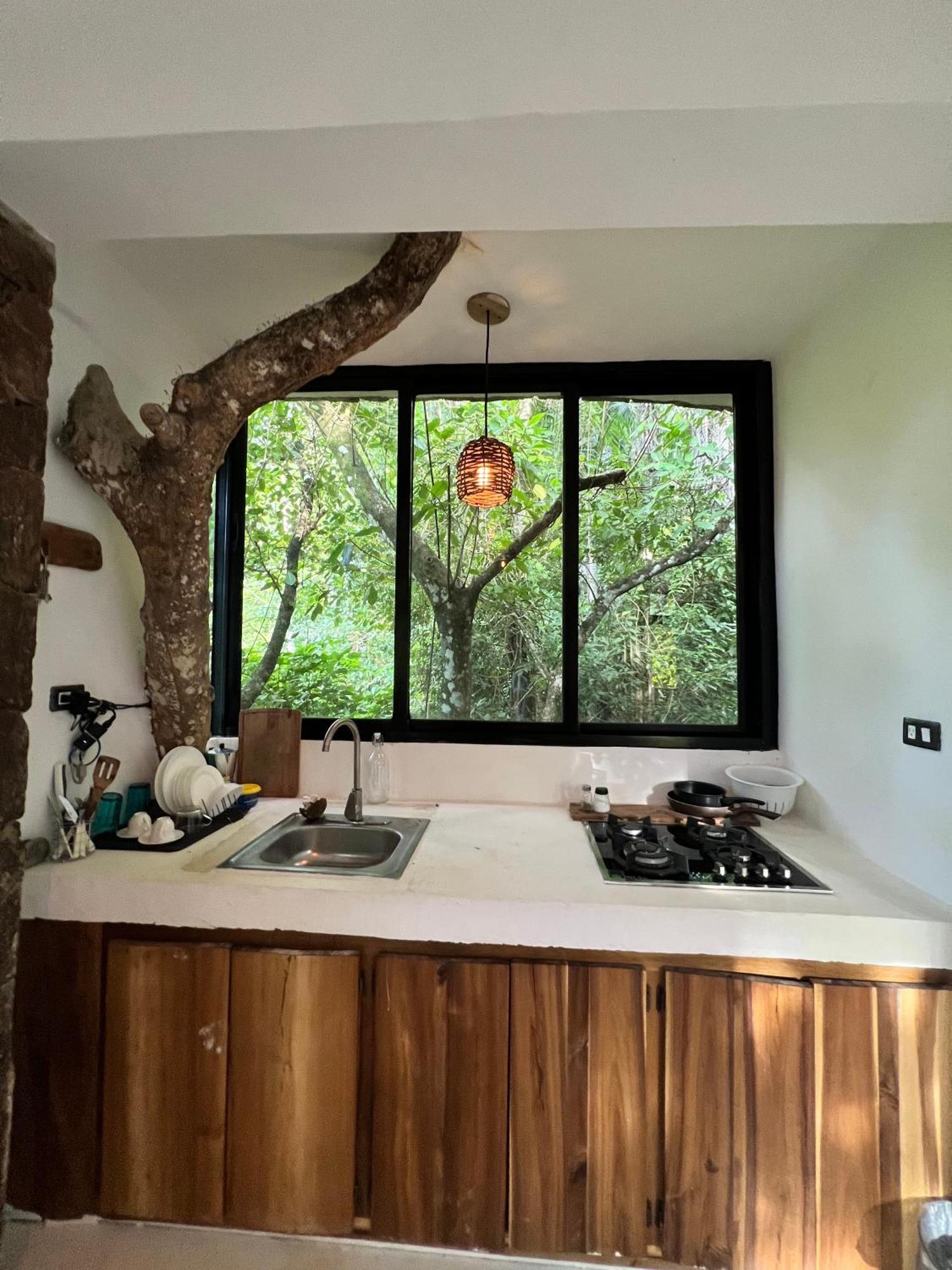 Taino Beach Lofts El Valle Eksteriør billede
